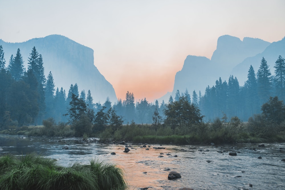 Yosemite Valley Scenic View