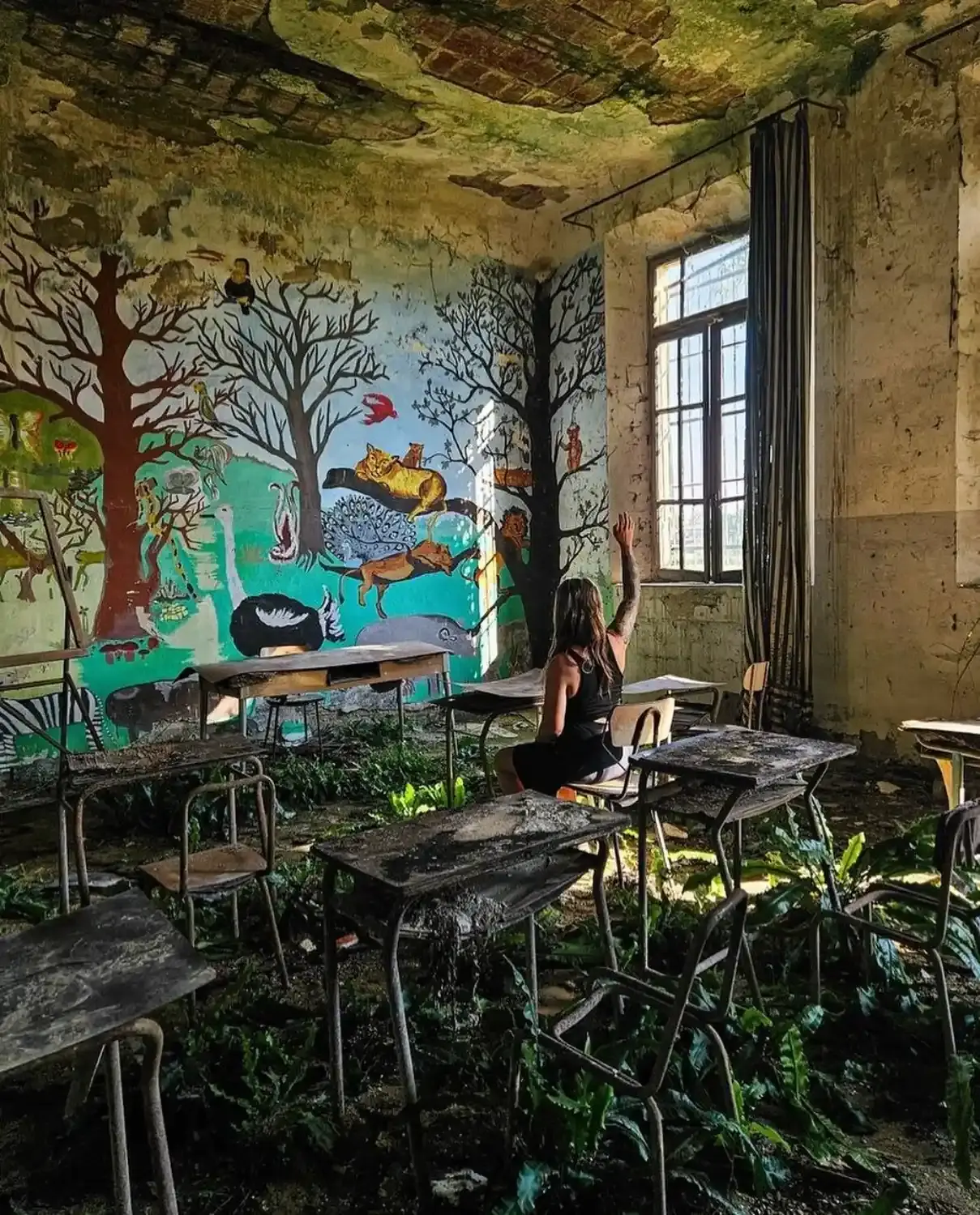 Whispers of a Wild Classroom's Past