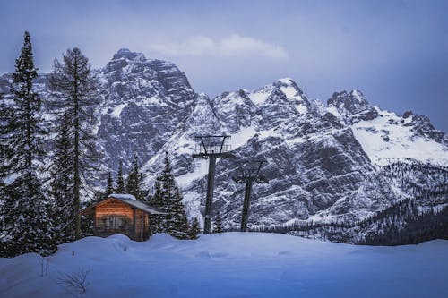 Serene Winter Retreat Amidst Giants