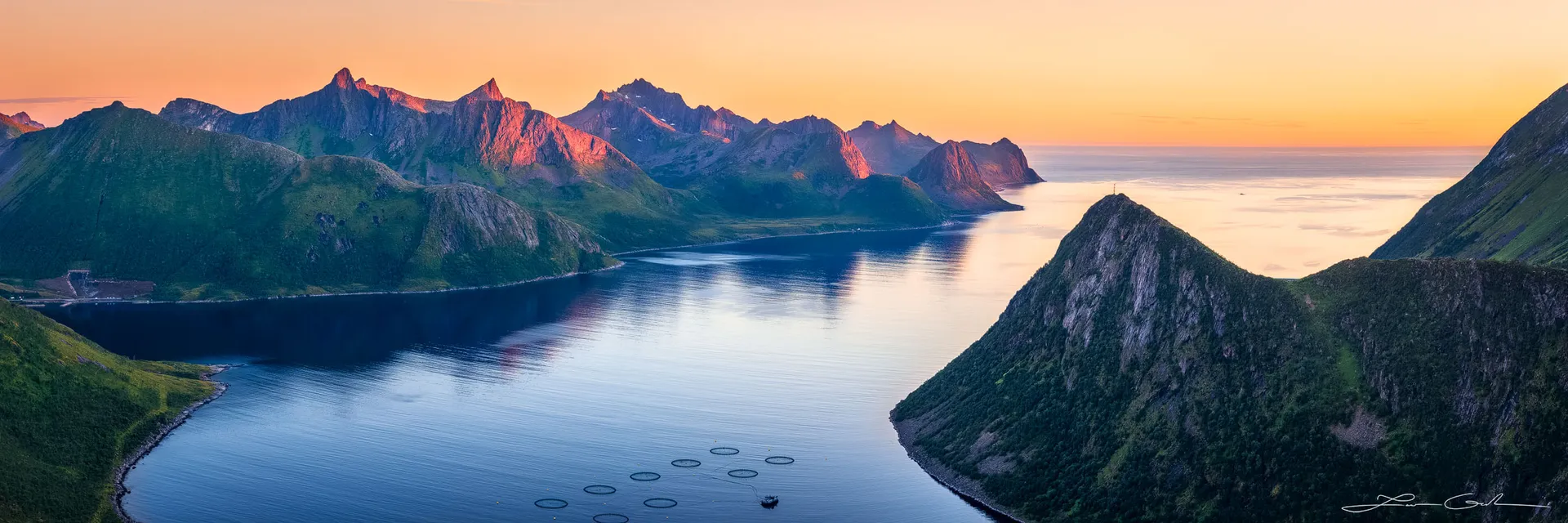 Echoes of Arctic Gold