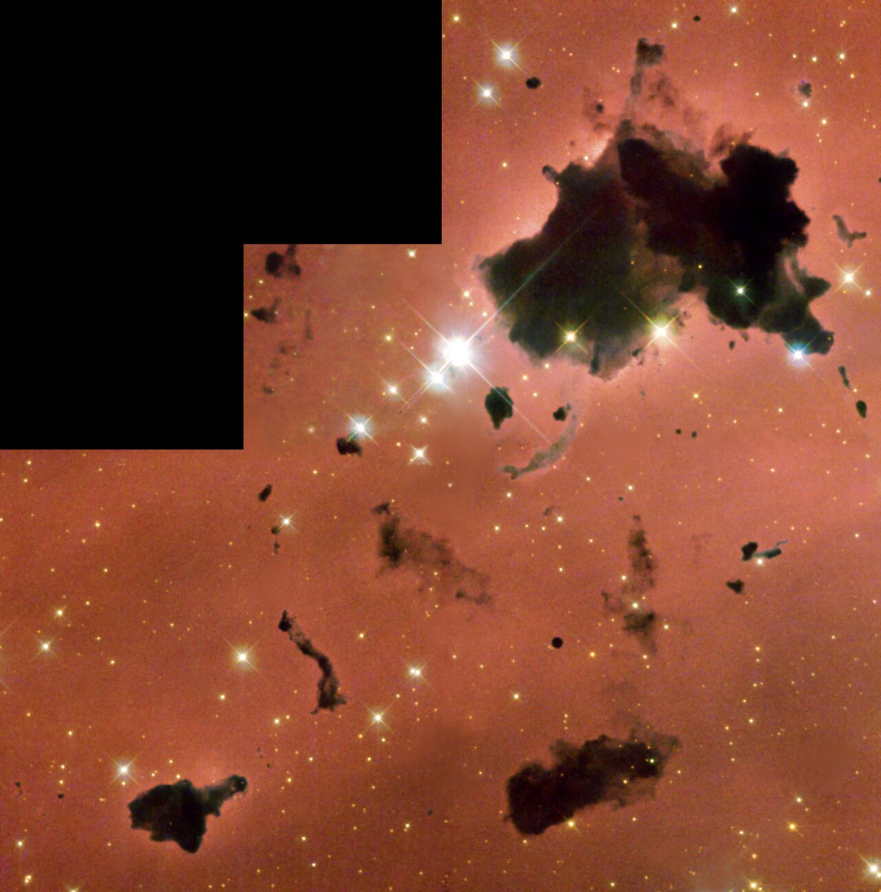 Thackeray's globules in IC 2944