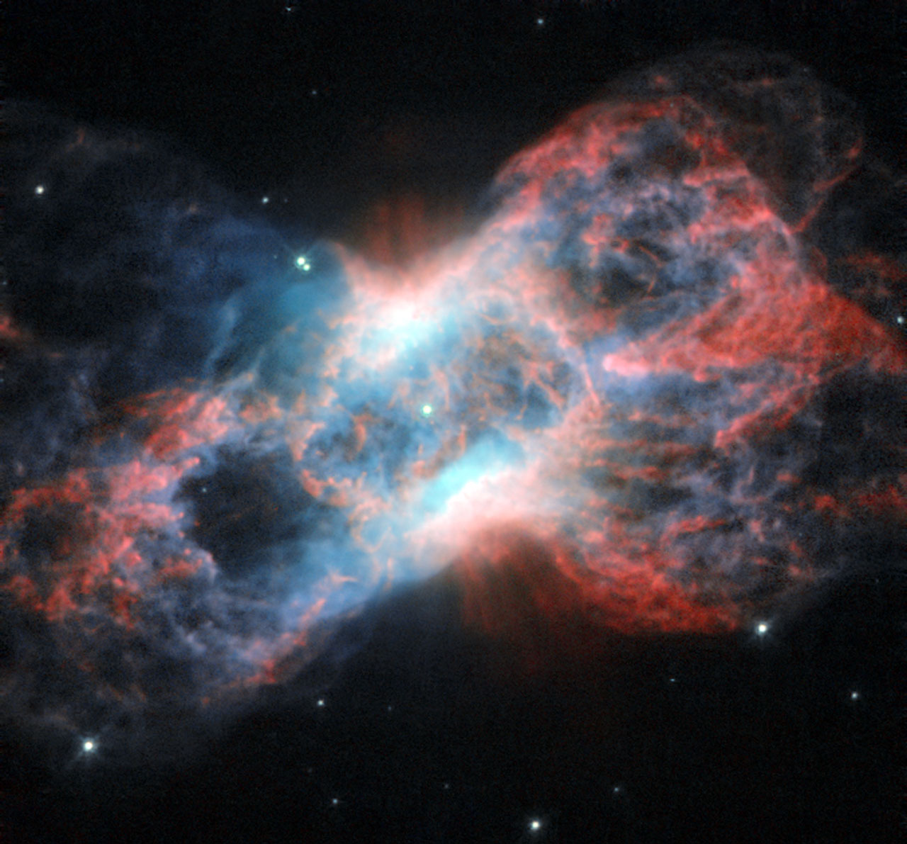The swan and the butterfly