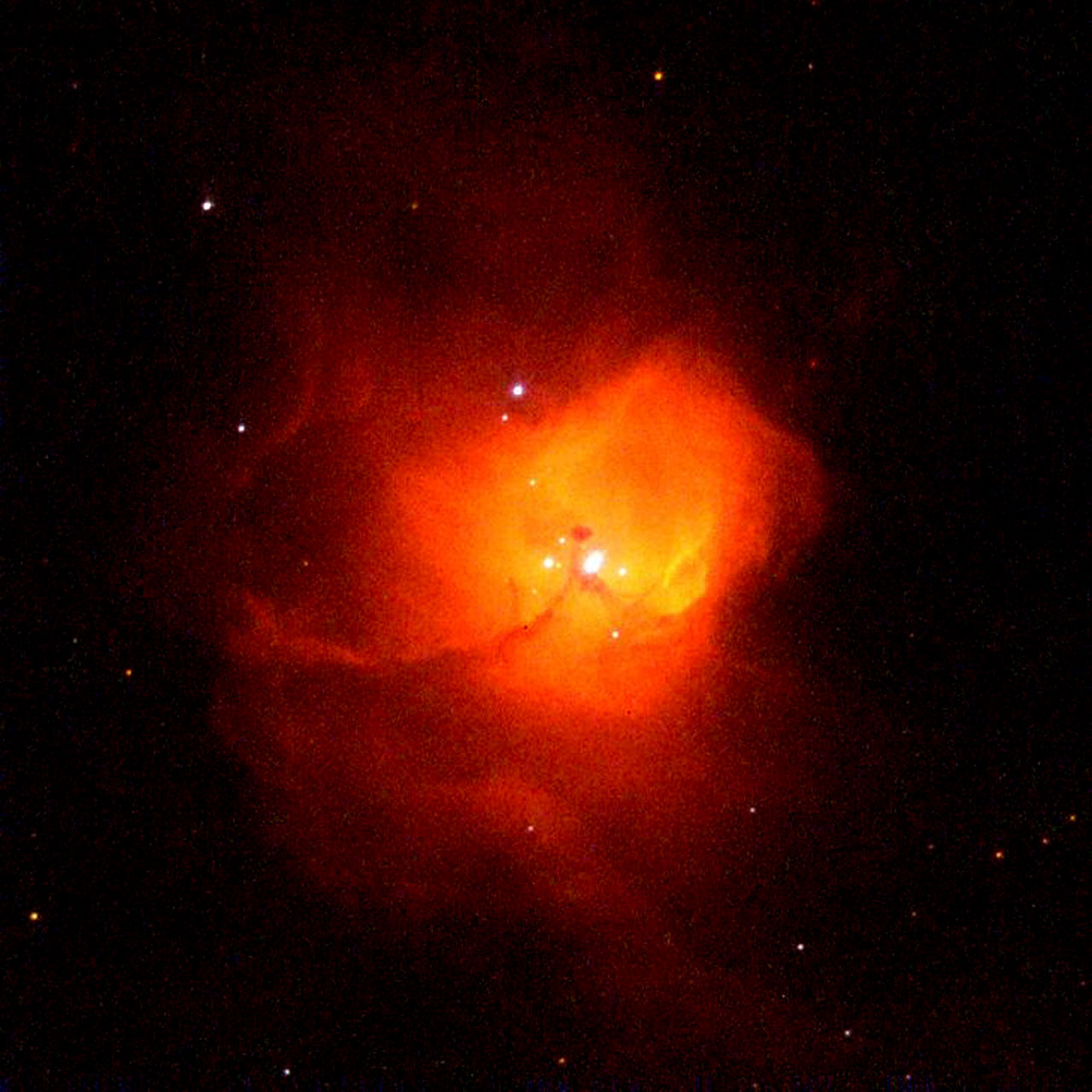 Massive starbirth in N81