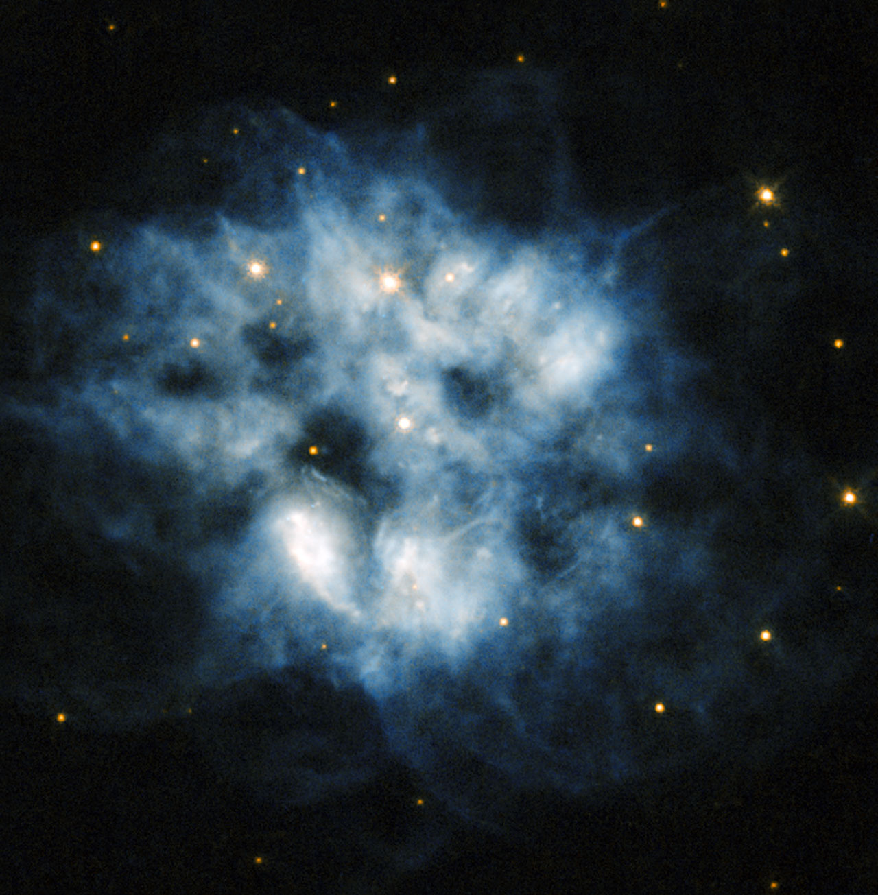A pulsating stellar relic