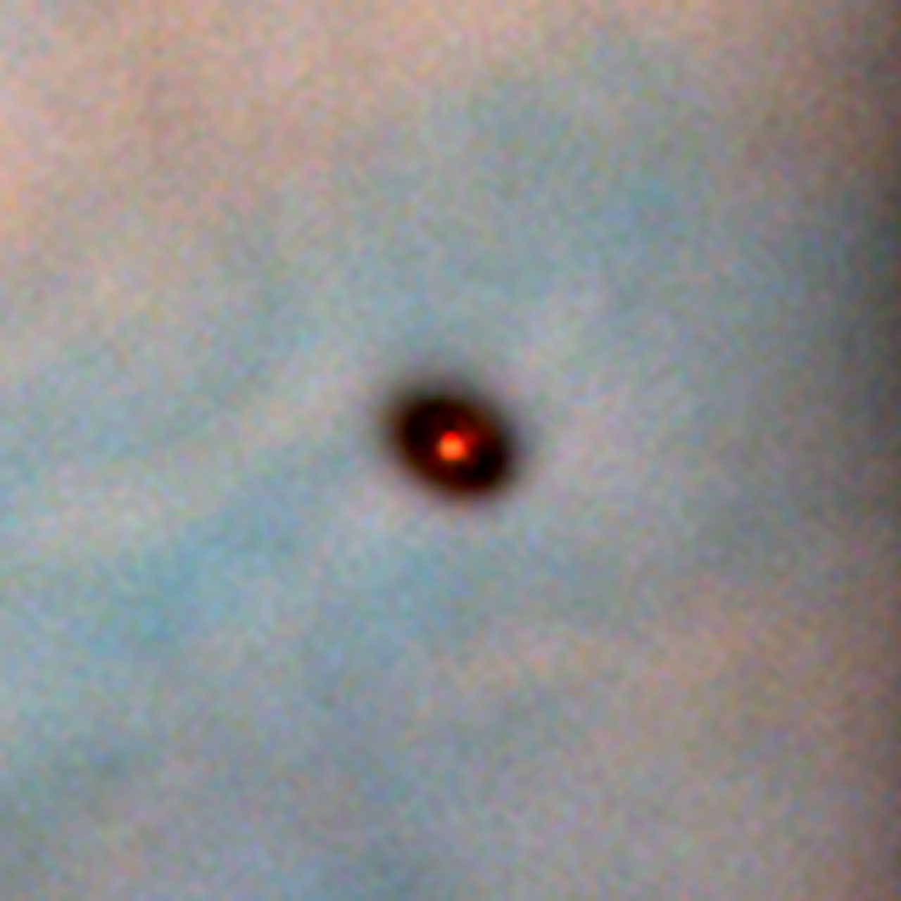 Protoplanetary disc in the Orion Nebula
