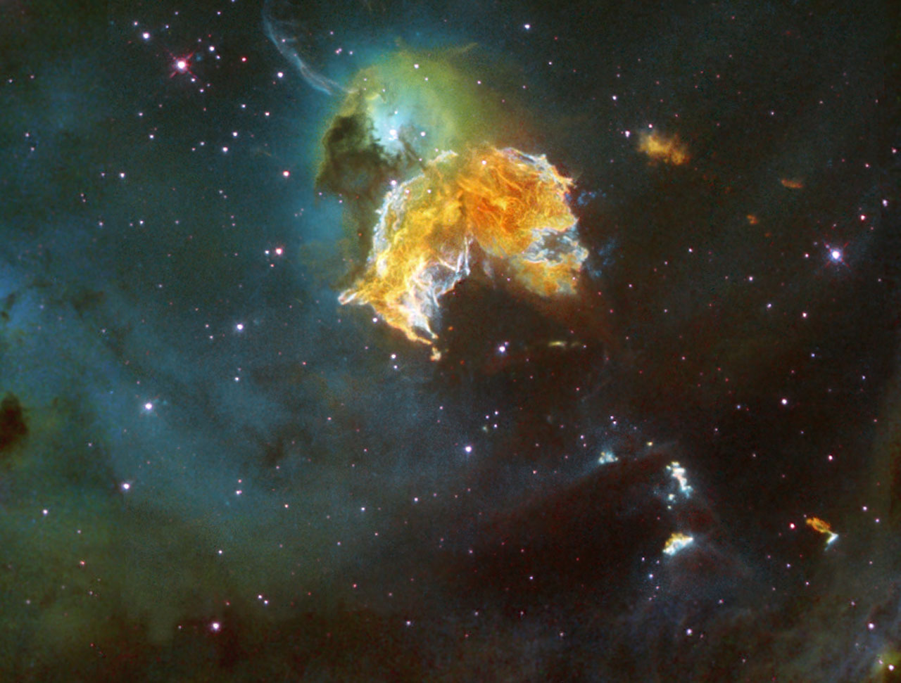 Supernova remnant menagerie
