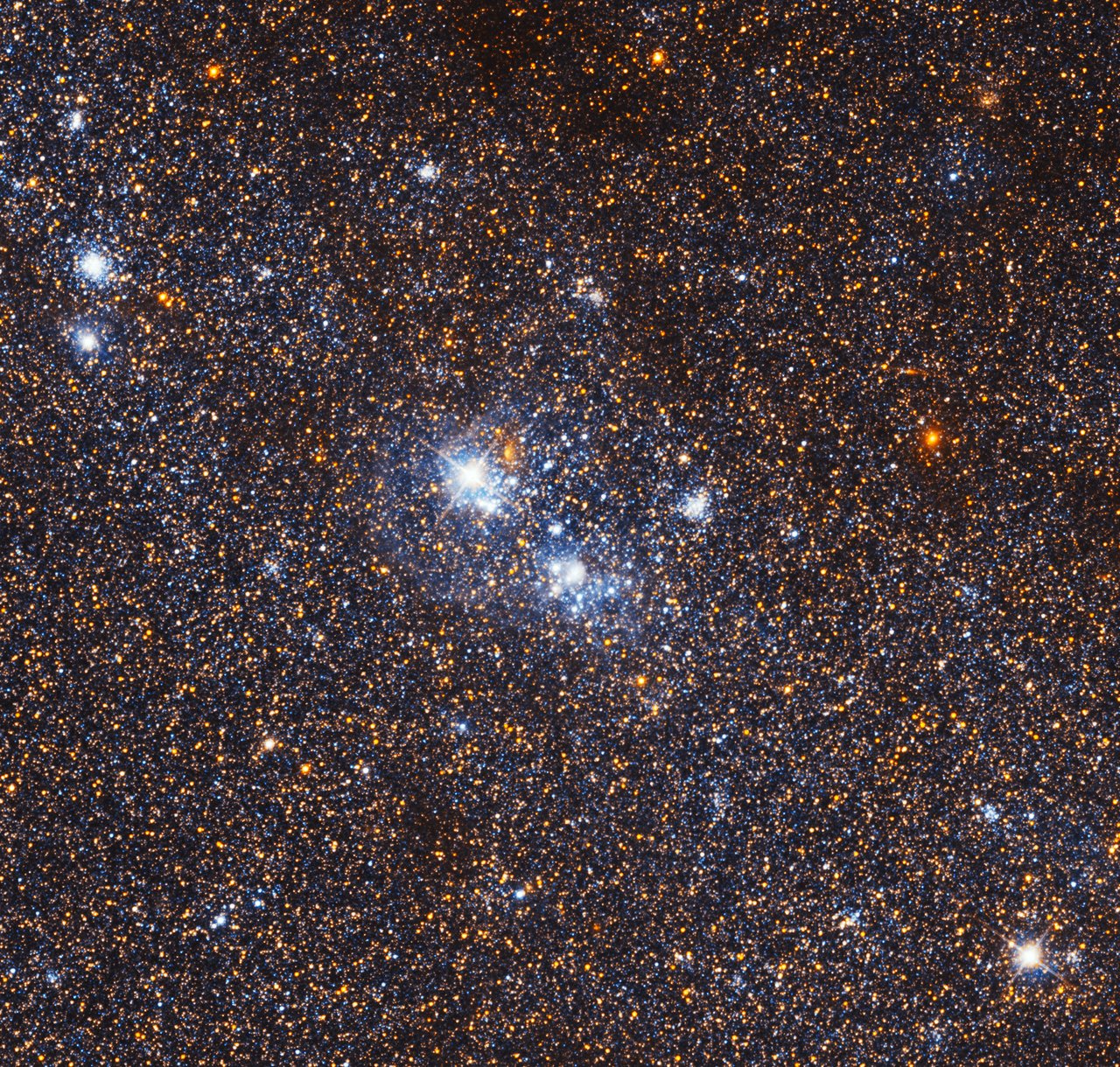 Stellar association IC 142