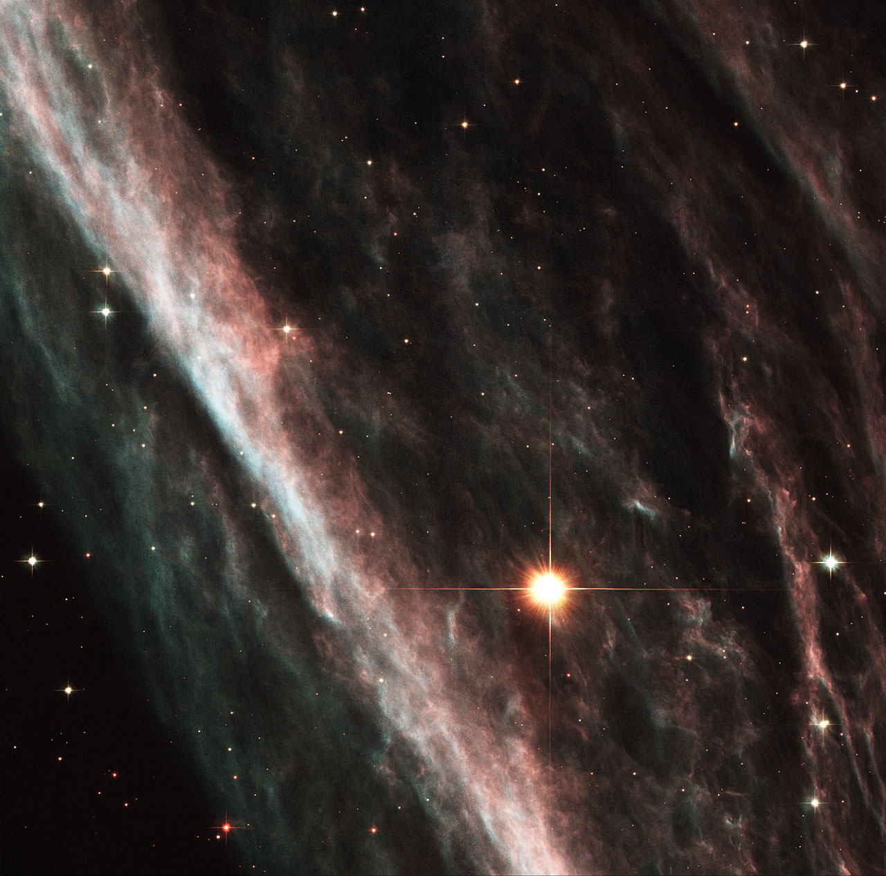 Supernova Shock Wave Paints Cosmic Portrait