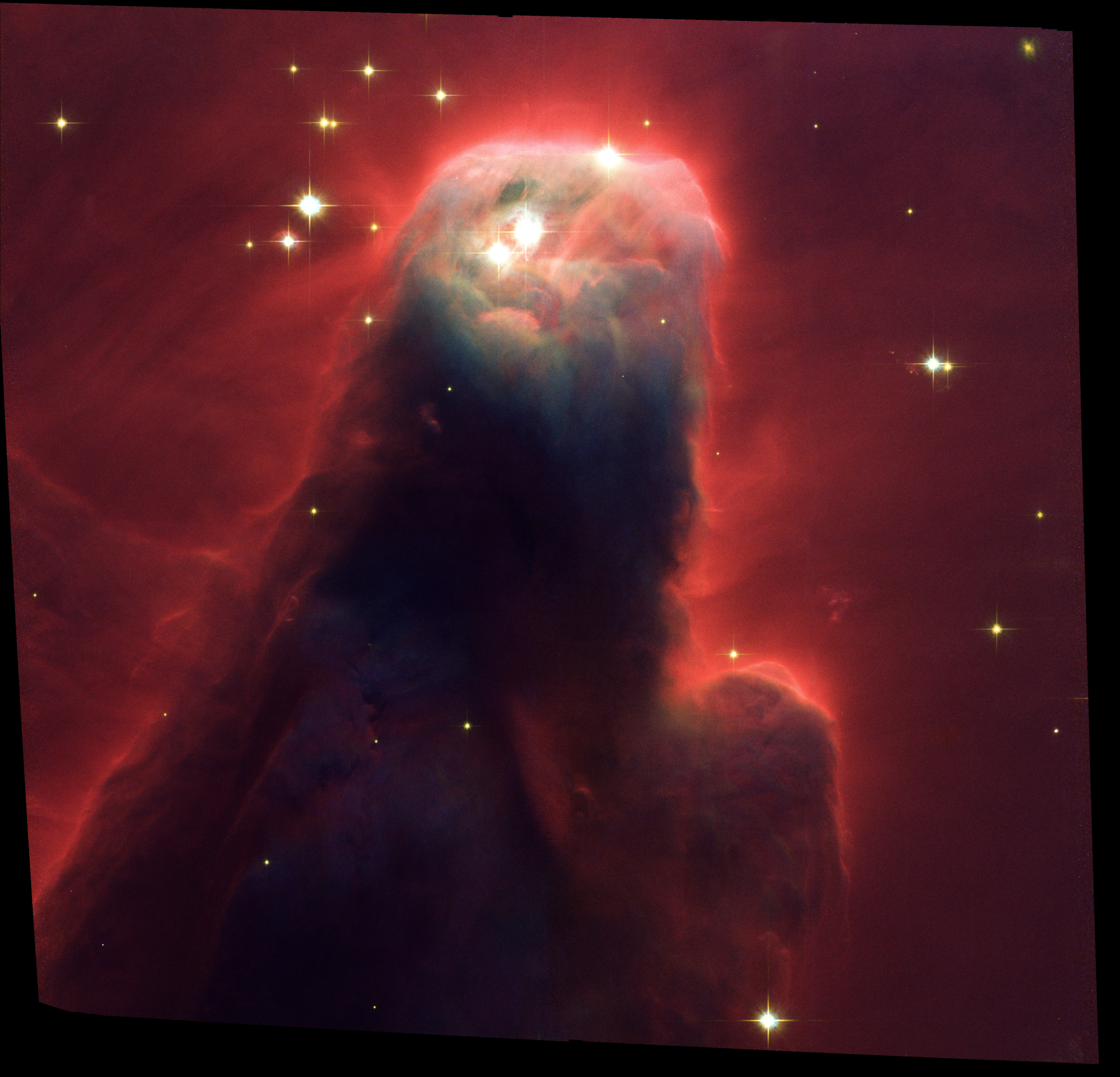 Cone Nebula/NGC 2264 (ACS Full Field Image)