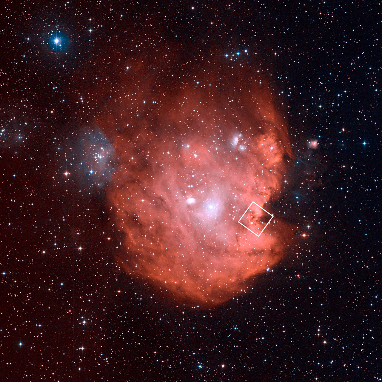 Wide field image of NGC 2174 (ground-based view)