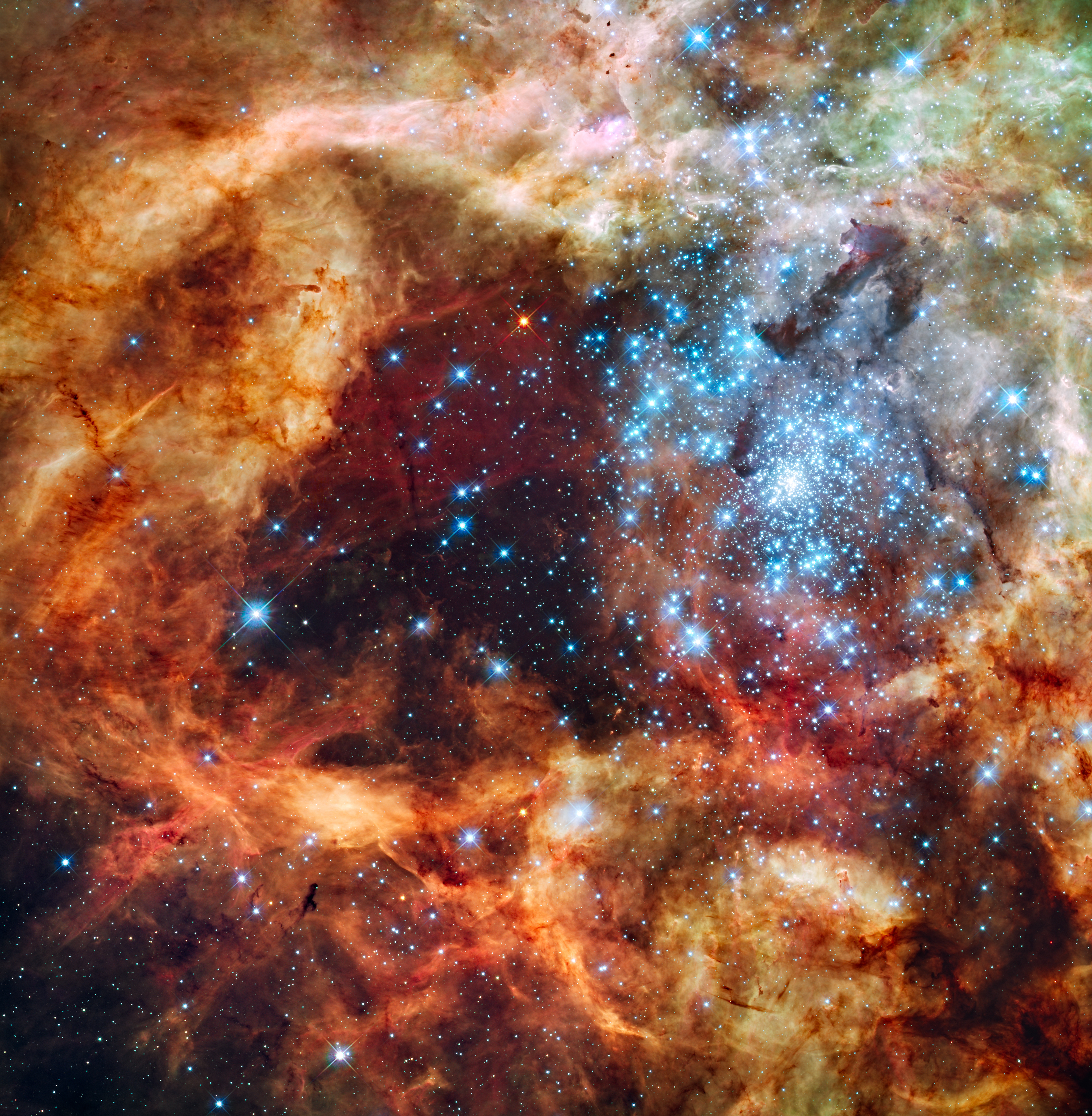 Hubble's festive view of a grand star-forming region