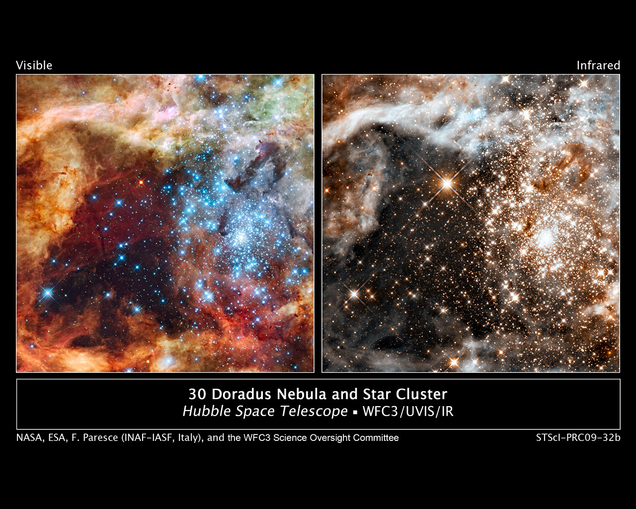 Hubble's grand view of star birth