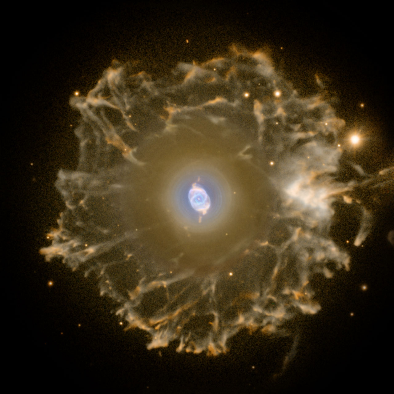 The Cat's Eye Nebula imaged with the Nordic Optical Telescope