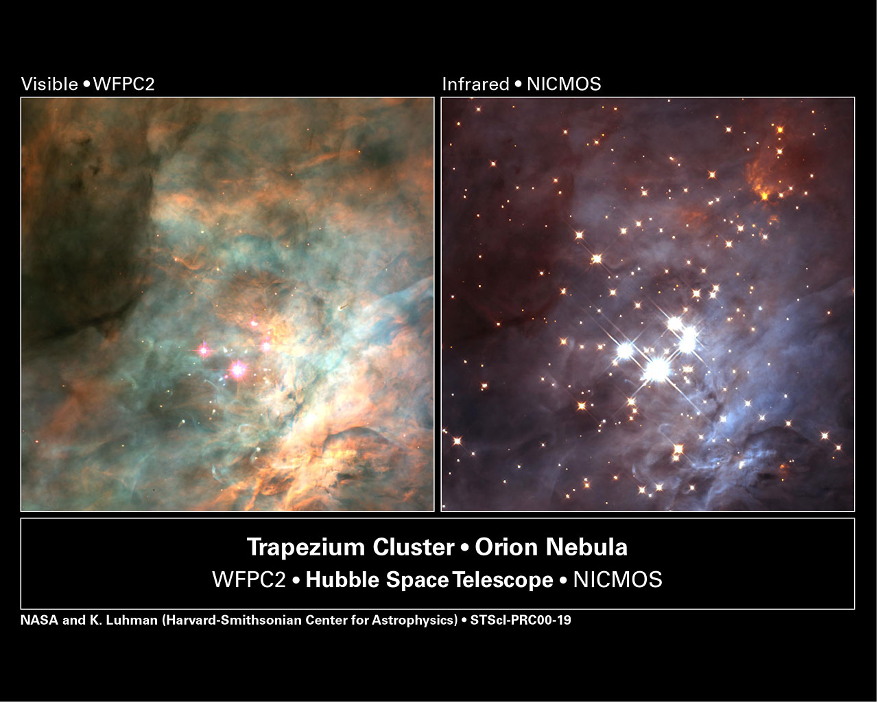 Trapezium Cluster in the Orion Nebula