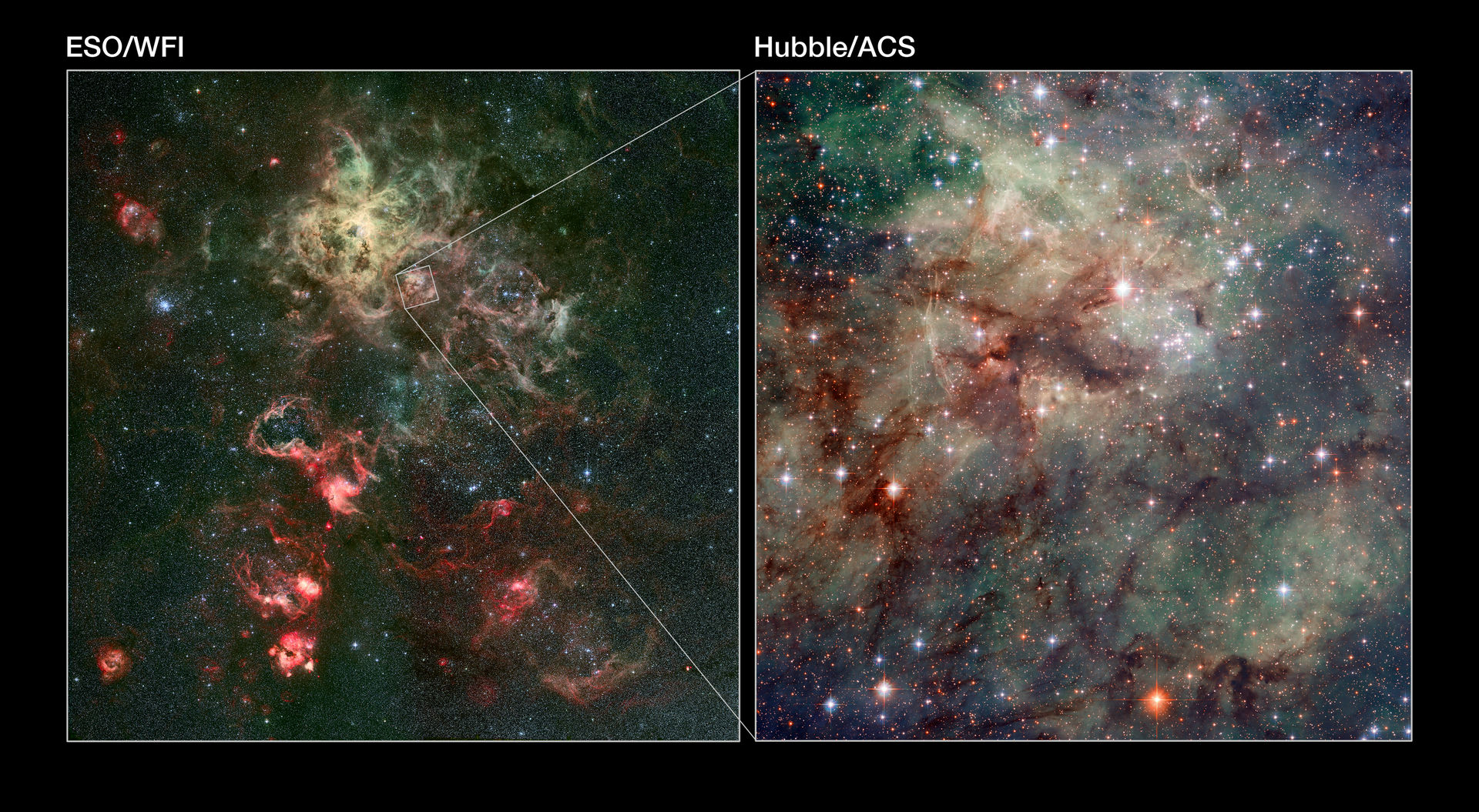Wide-field and close-up views of the Tarantula Nebula