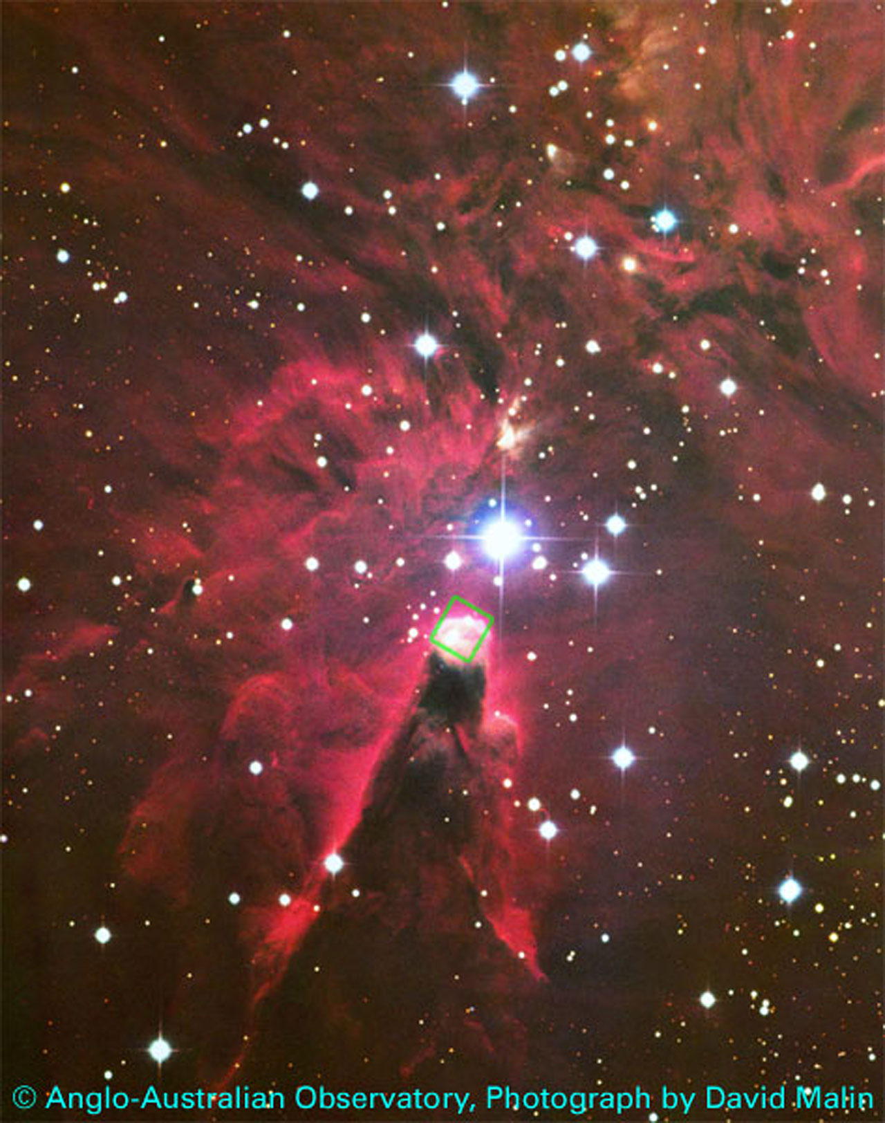 Cone Nebula