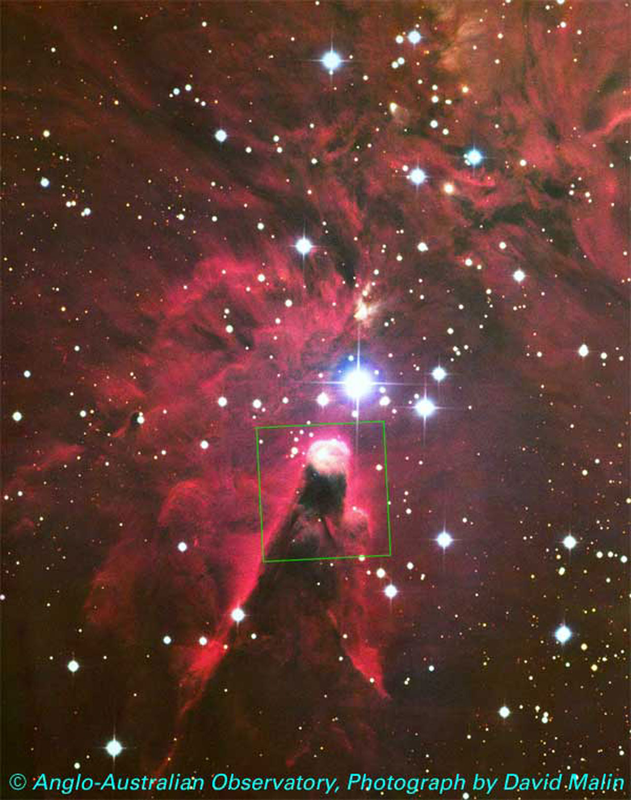 Cone Nebula