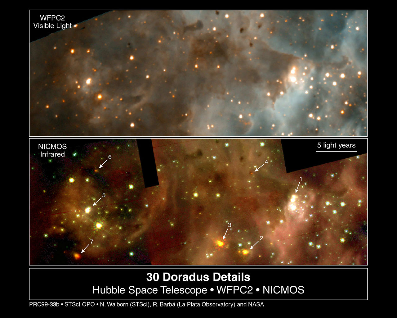 30 Doradus (WFPC2 and NICMOS)