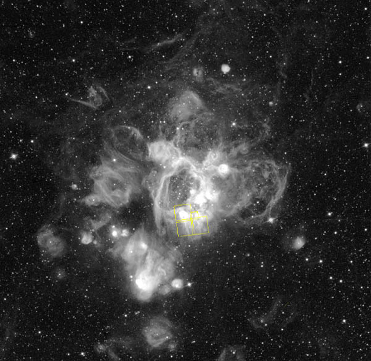 Gaseous streamers flutter in stellar breeze