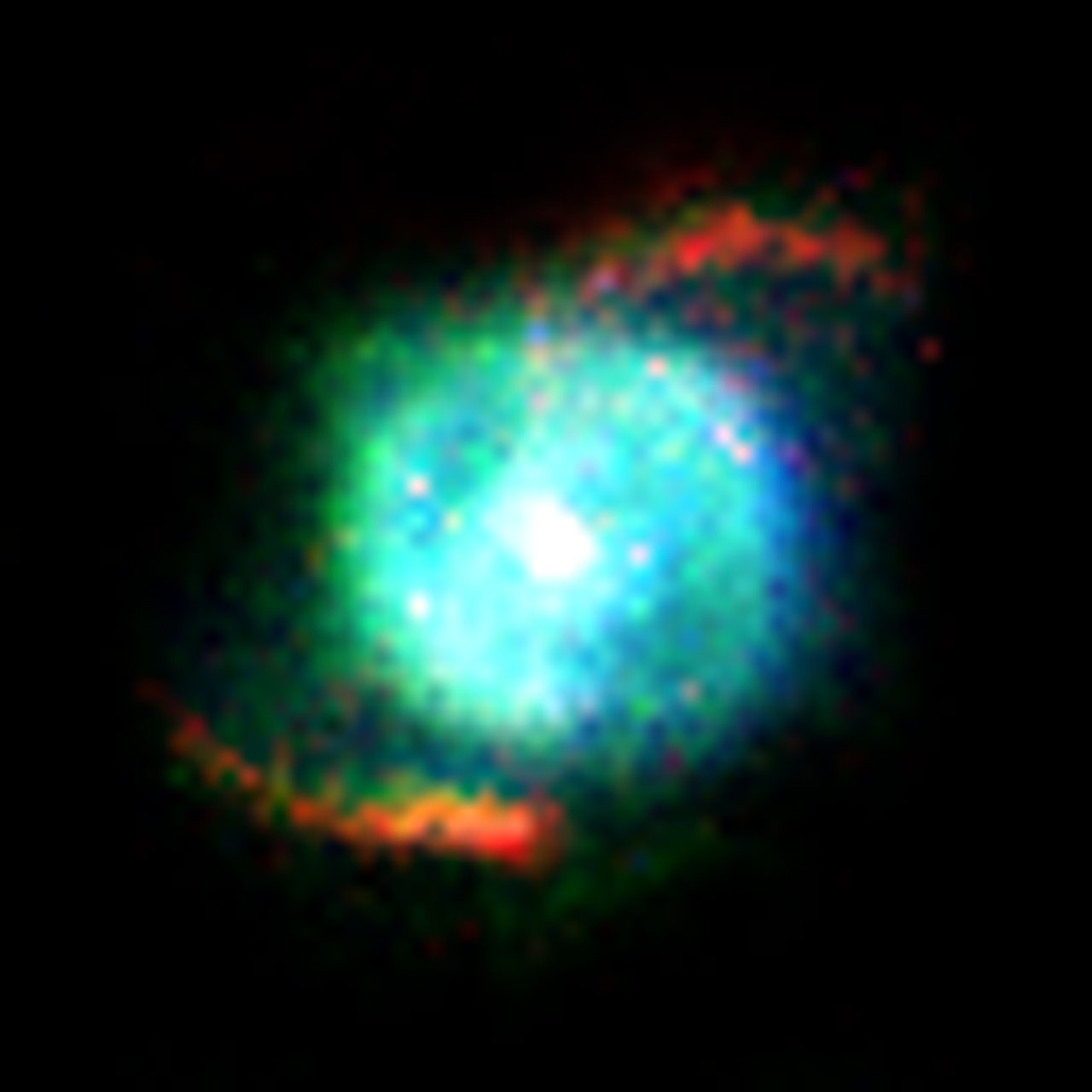 SMP 10 in the Large Magellanic Cloud