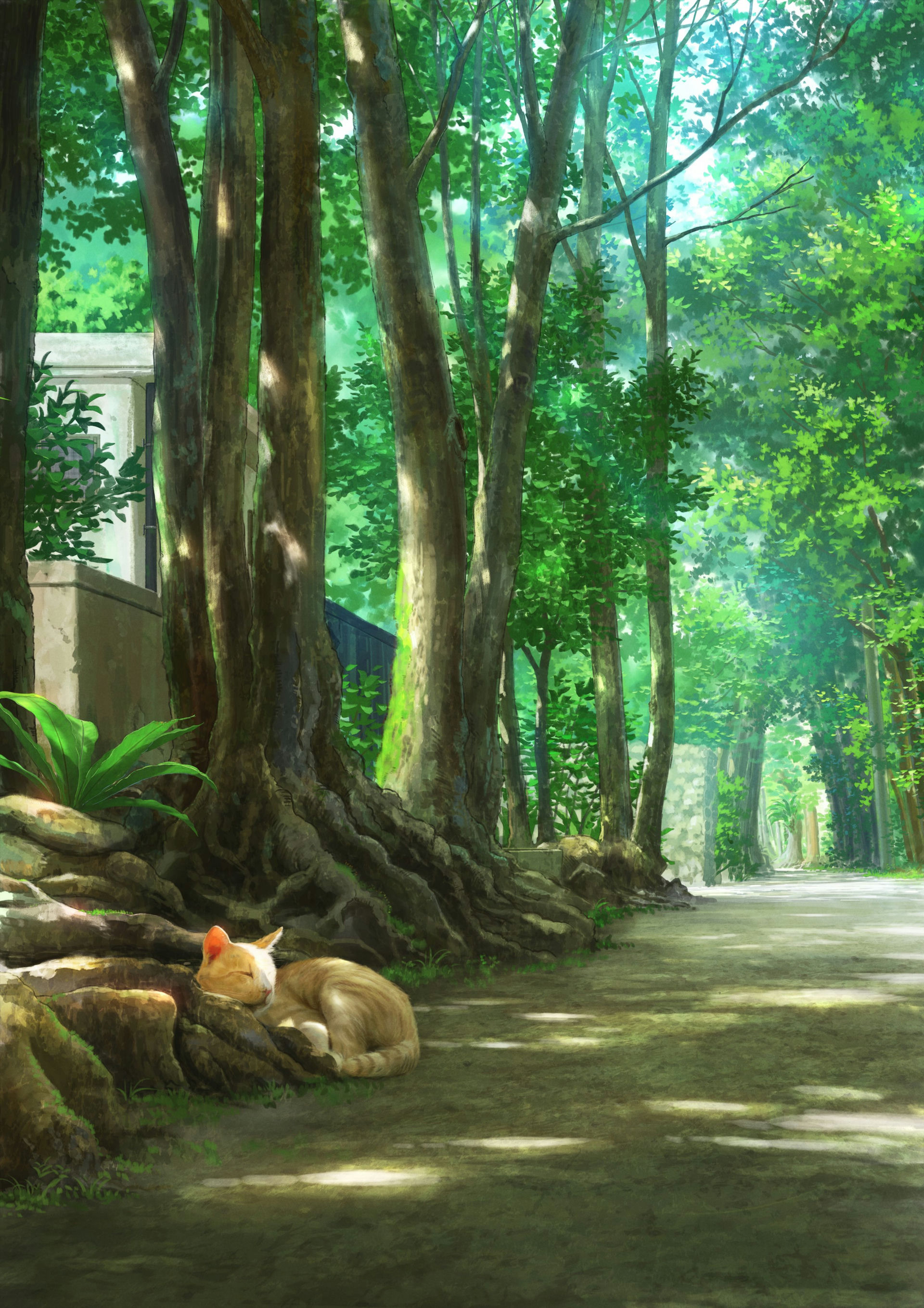 Outdoors, Sunlight & Cats