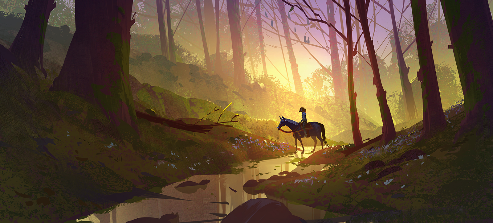 Animal & Bird
