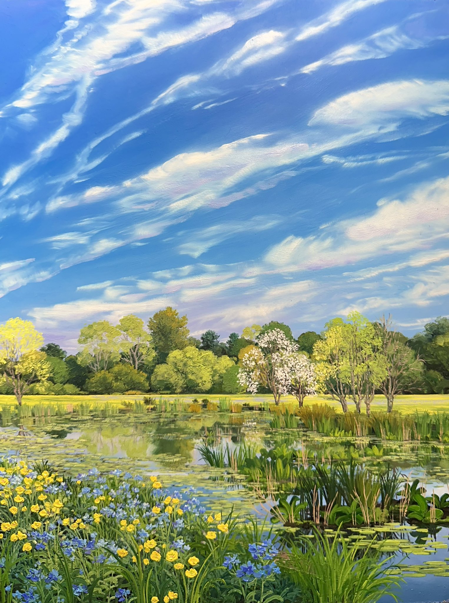 Blue Flower & Blue Sky
