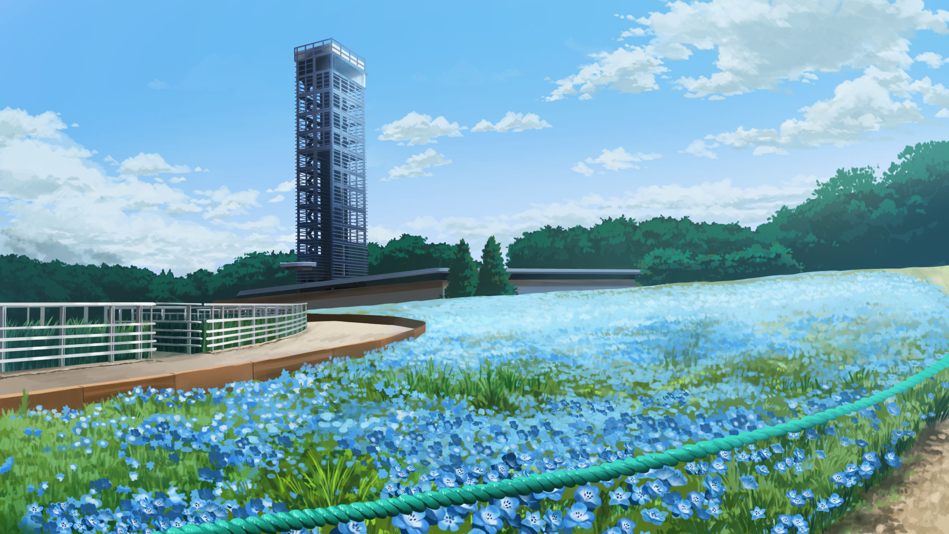 Blue Flower & Blue Sky
