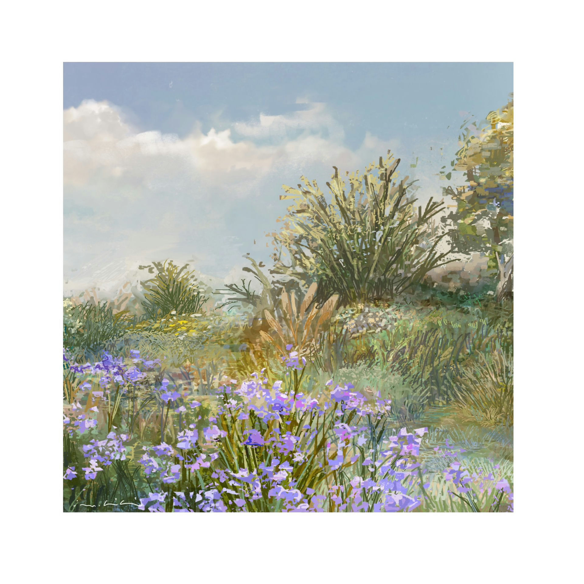 Border & Bush