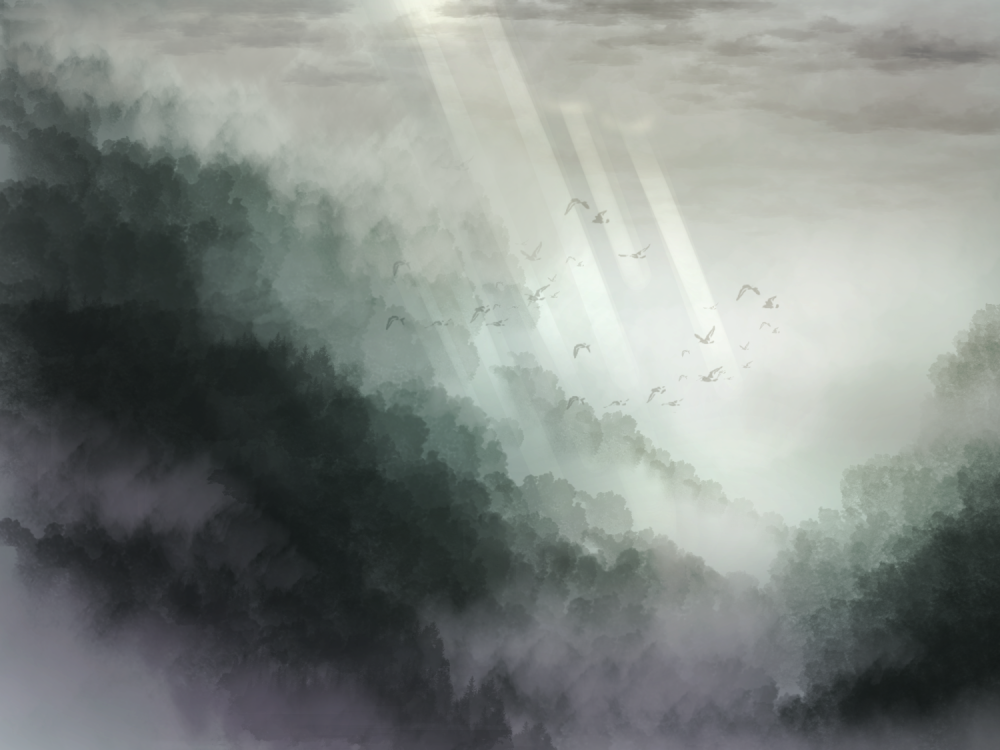 Bird & Cloudy Sky