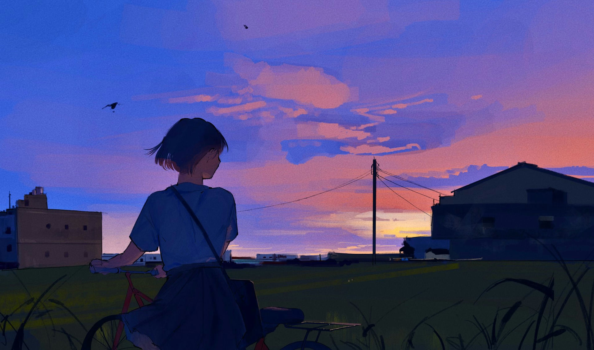 1Girl & Amo (Amo 0514)