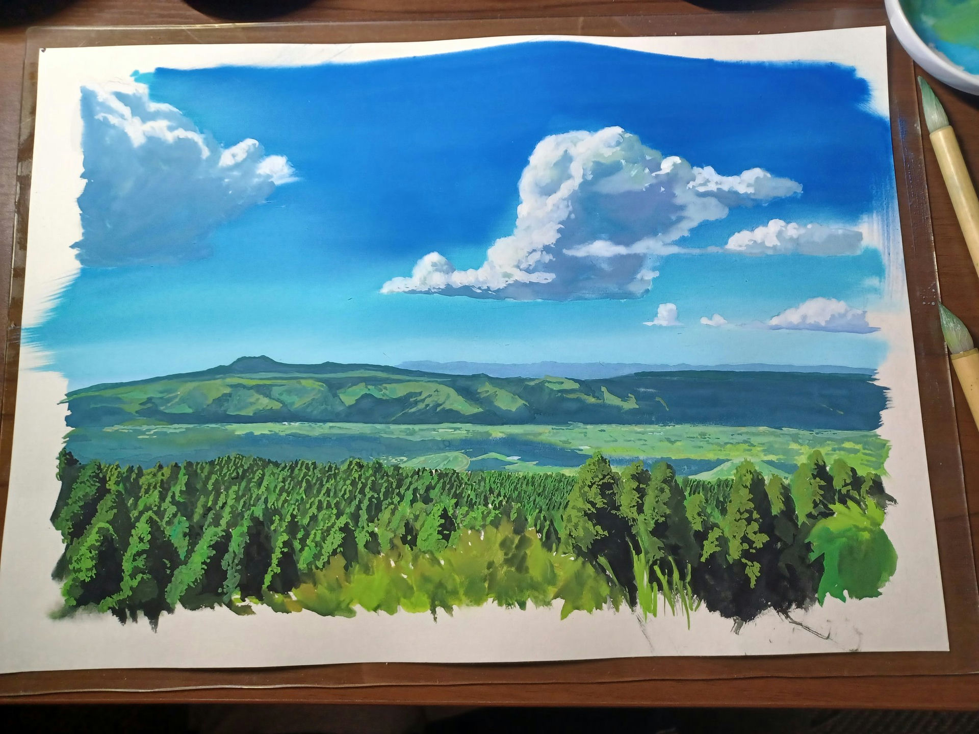 Blue Sky & Cloudy Sky