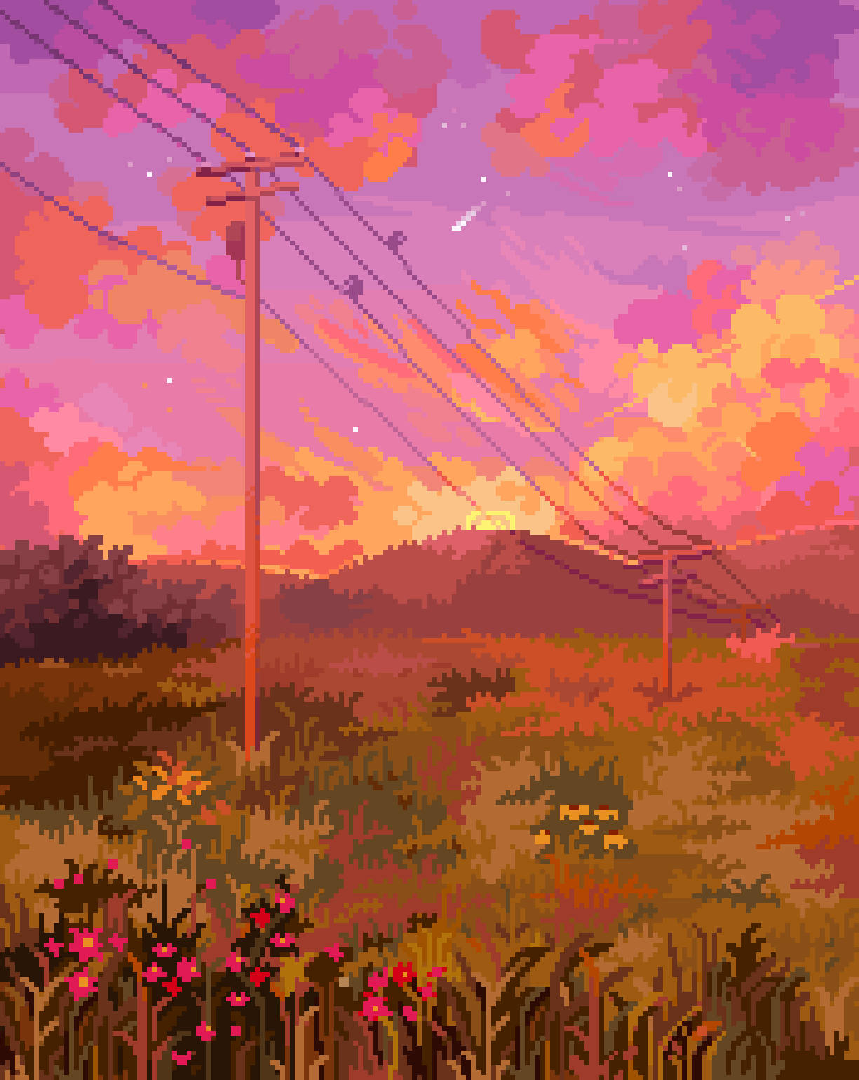 Bush & Field