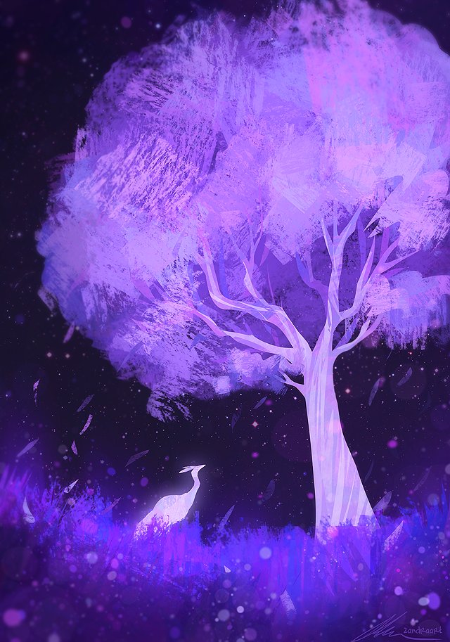 Animal & Bird