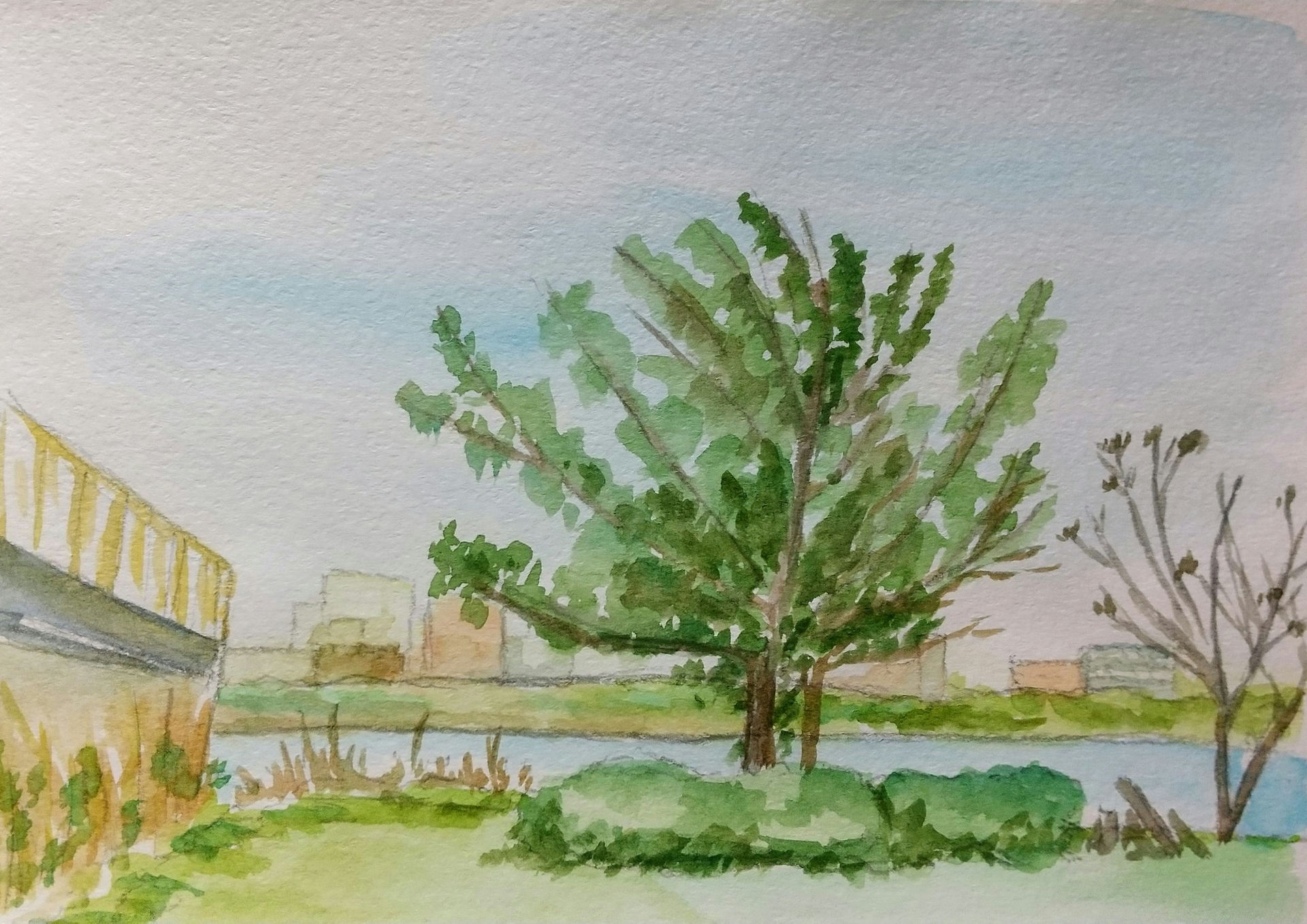 Bare Tree & Building
