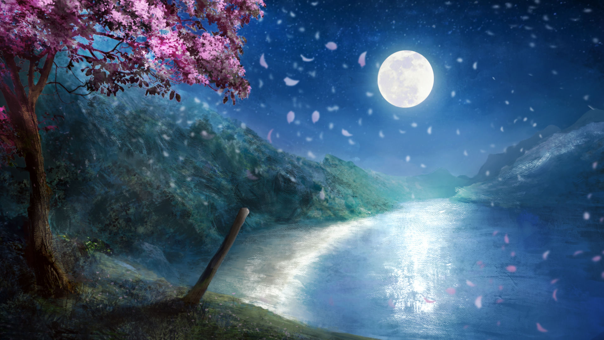 Beach & Cherry Tree