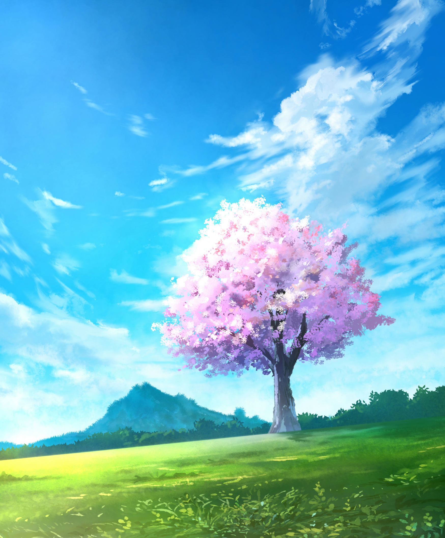 Blue Sky & Day