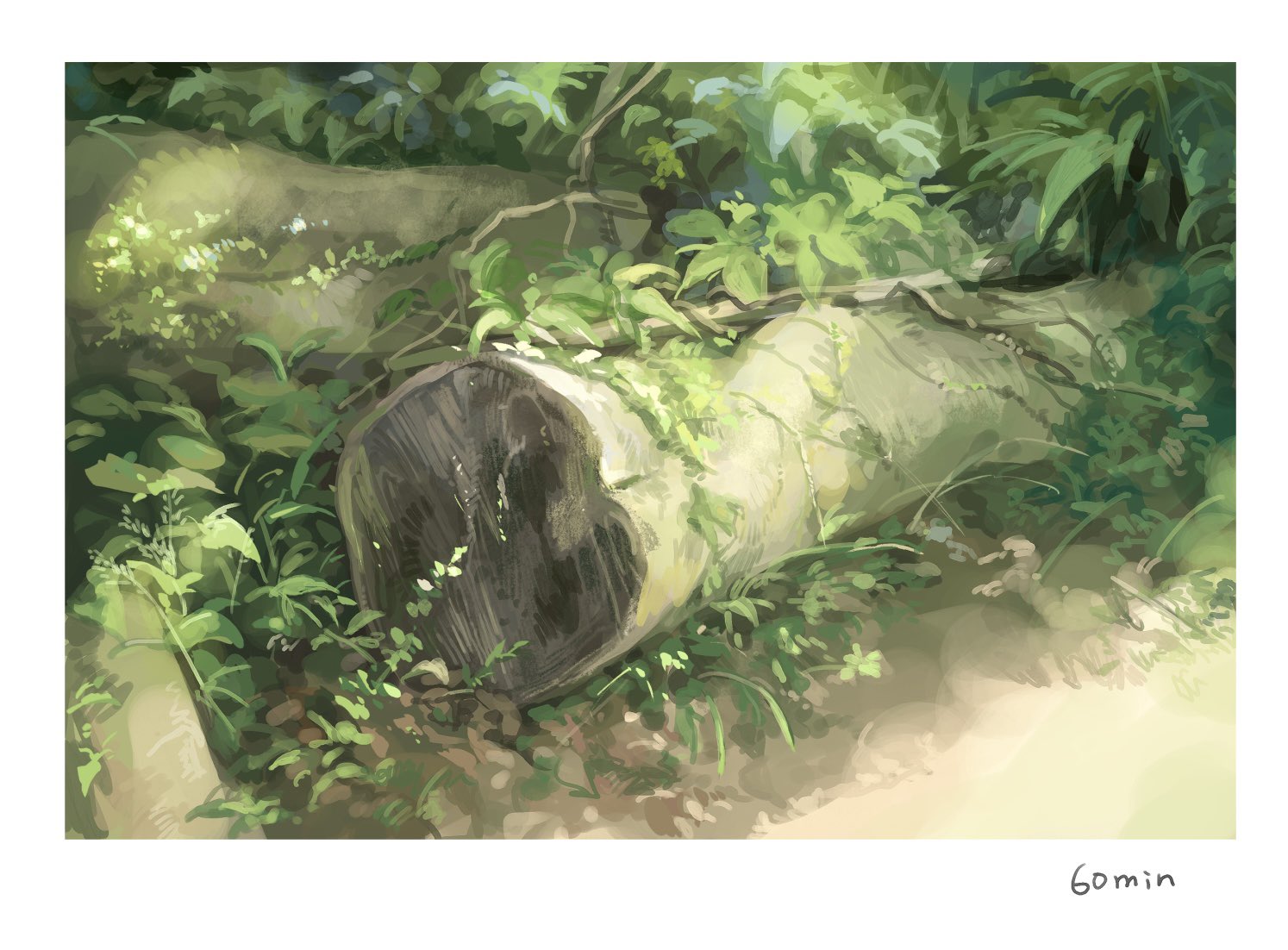 Branch & Forest
