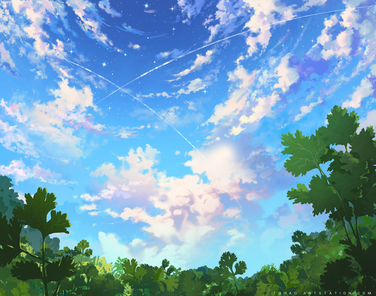 Blue Sky & Forest
