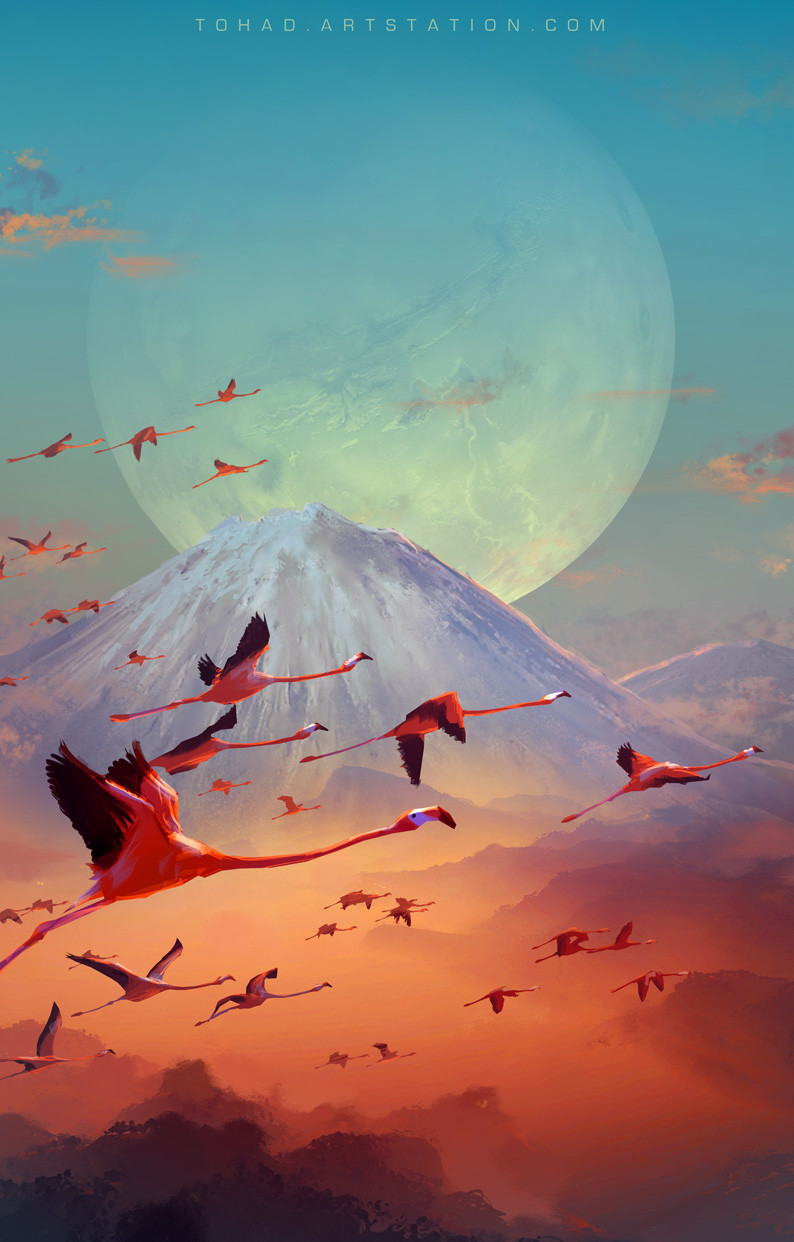 Animal & Bird