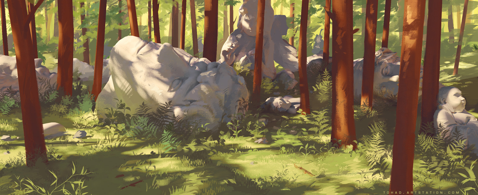 Forest & Grass
