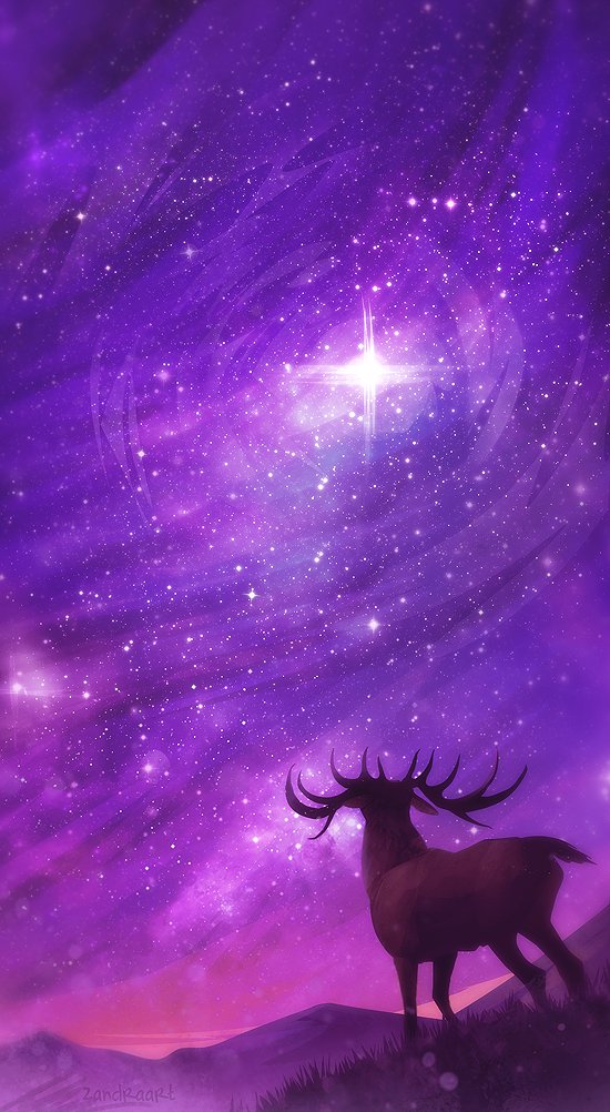 Animal & Artist Name