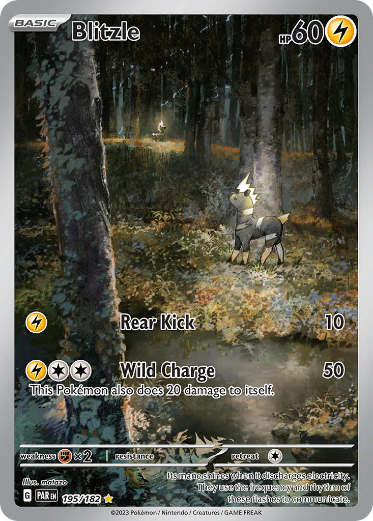 Animal Focus & Artist Name