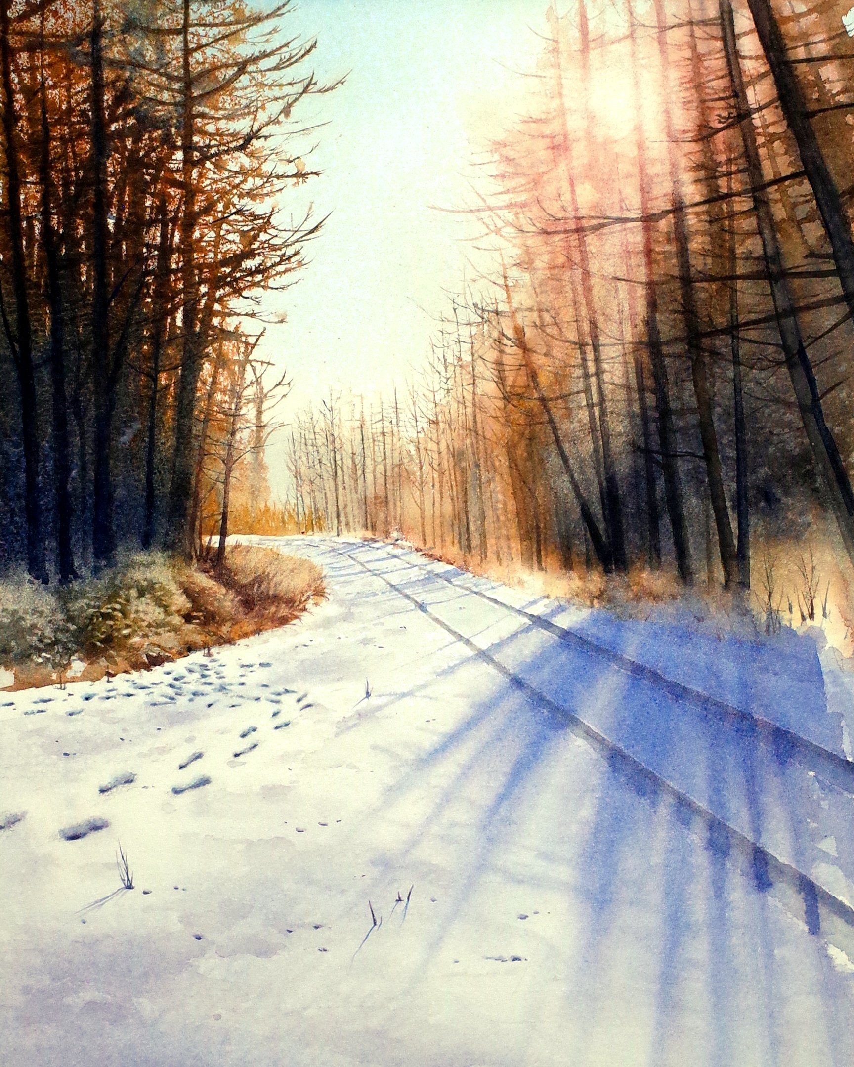 Bare Tree & Bush
