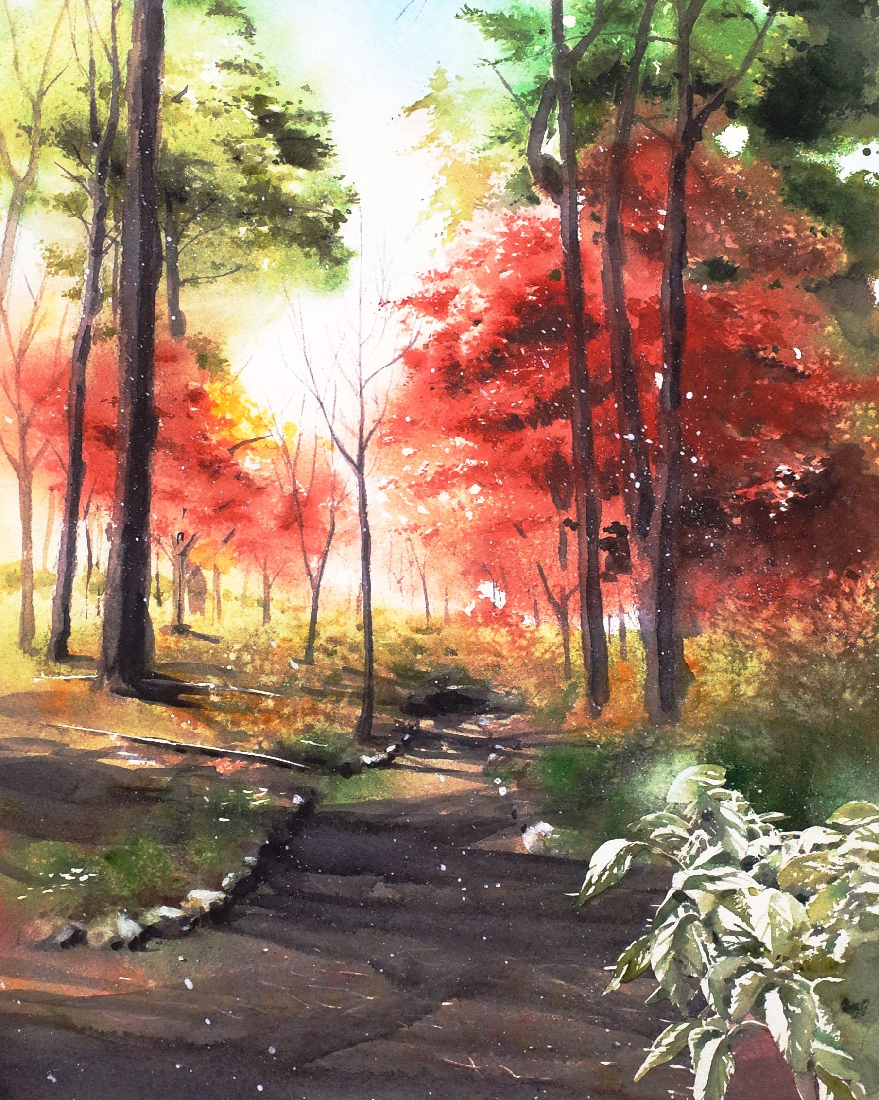 Autumn Leaves & Branch