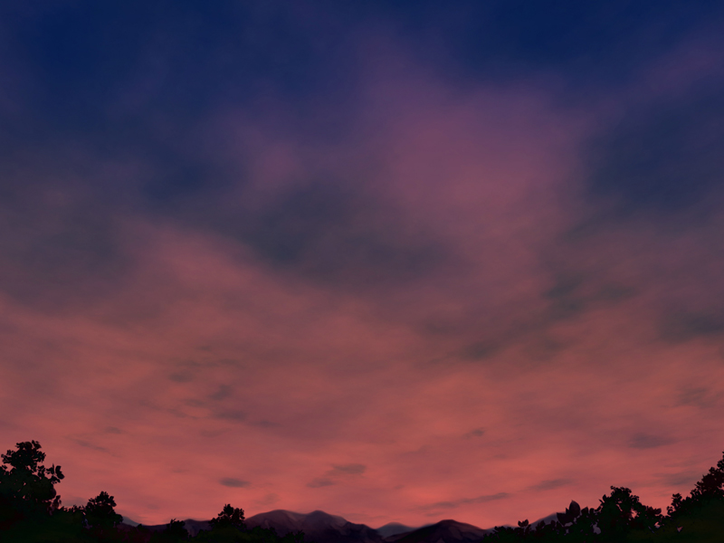 Dusk & Forest