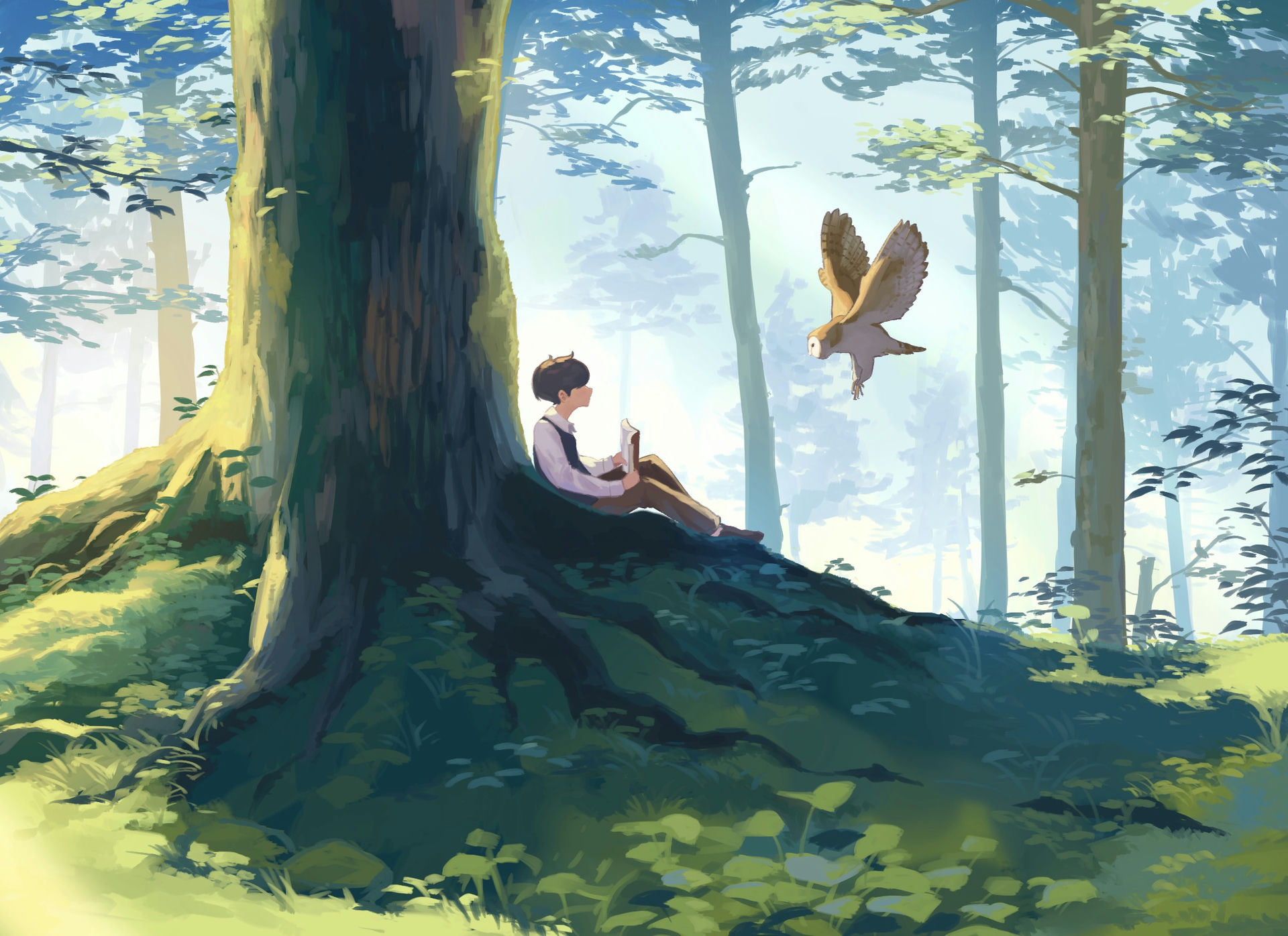 1Boy & Barn Owl