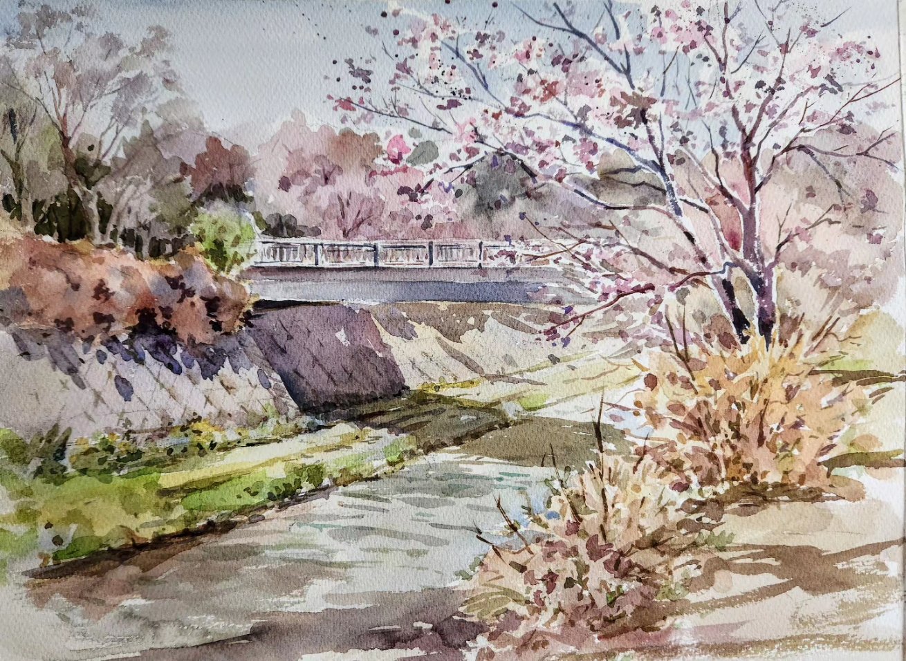 Akemisuisai & Bridge