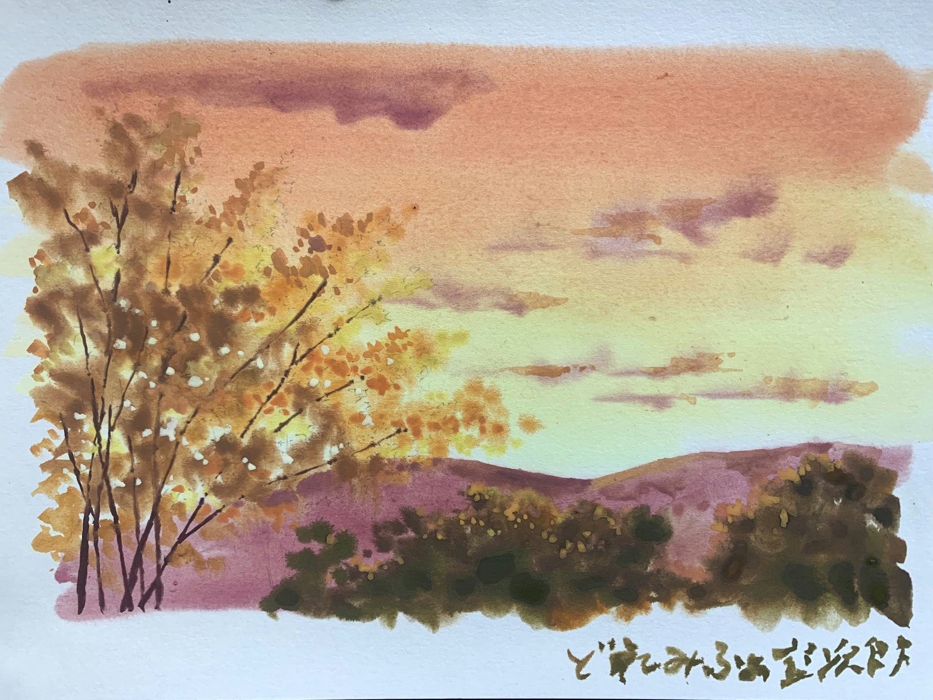 Autumn Leaves & Cloudy Sky