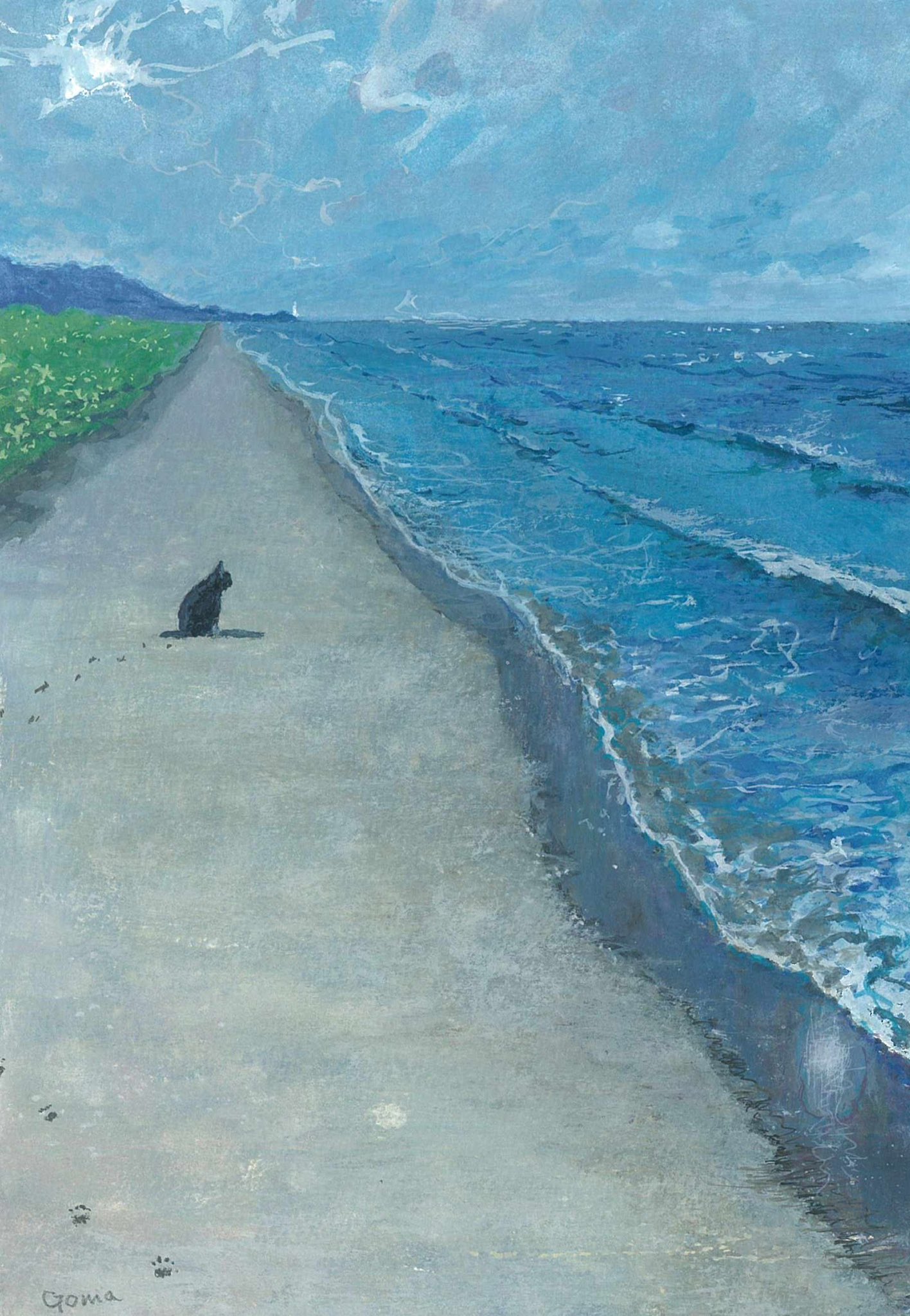 Beach & Black Cat